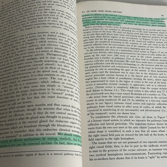 1972 The metaphorical brain cybernetics as artificial intelligence book - Picture 6 of 9